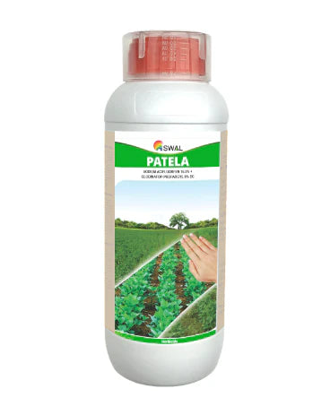 PATELA SWAL