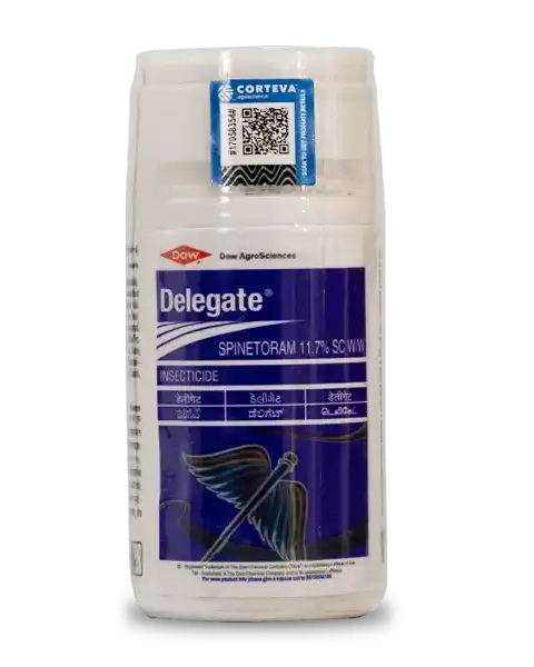 DELEGATE INSECTICIDE