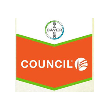 COUNCIL ACTIV